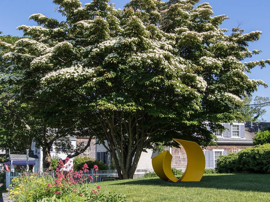 Sculpture and tree in front of house on Main Street.<br />June 20, 2013 - Chatham, Massachusetts.