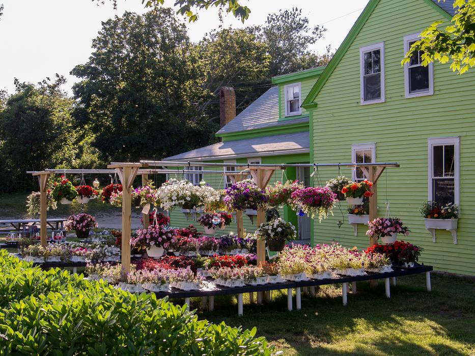 House with flowers on Main Street.<br />June 20, 2013 - Chatham, Massachusetts.