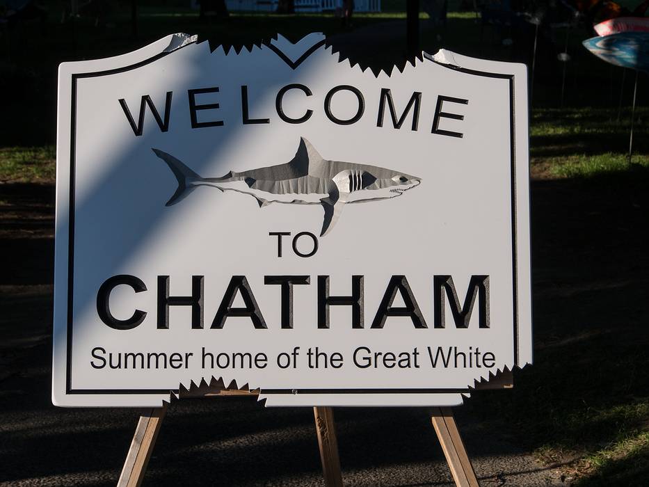 June 20, 2013 - Chatham, Massachusetts.