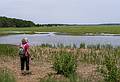 Joyce.<br />June 22, 2013 - Audubon's Wellfleet Bay Wildlife Sanctuary, Cape Cod, Massachusetts.