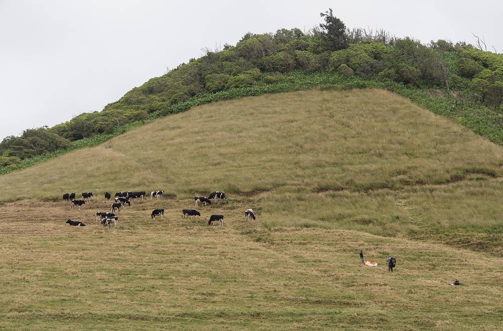 Melody and Sati just below the cows and getting ready to paraglide.<br />July 10, 2013 - About a mile SE of Sao Vicente Ferreira, Sao Miguel, Azores, Portugal.