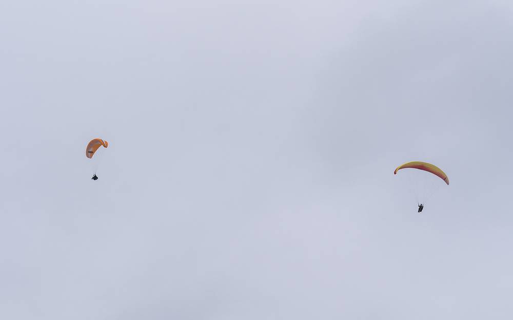 Melody and Sati circling overhead.<br />July 10, 2013 - About a mile SE of Sao Vicente Ferreira, Sao Miguel, Azores, Portugal.
