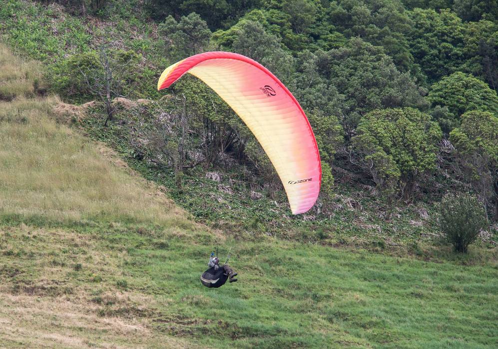 Sati coming in for a landing.<br />July 10, 2013 - About a mile SE of Sao Vicente Ferreira, Sao Miguel, Azores, Portugal.