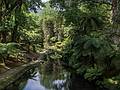 July 11, 2013 - At the Terra Nostra Gardens in Furnas, Sao Miguel, Azores, Portugal.