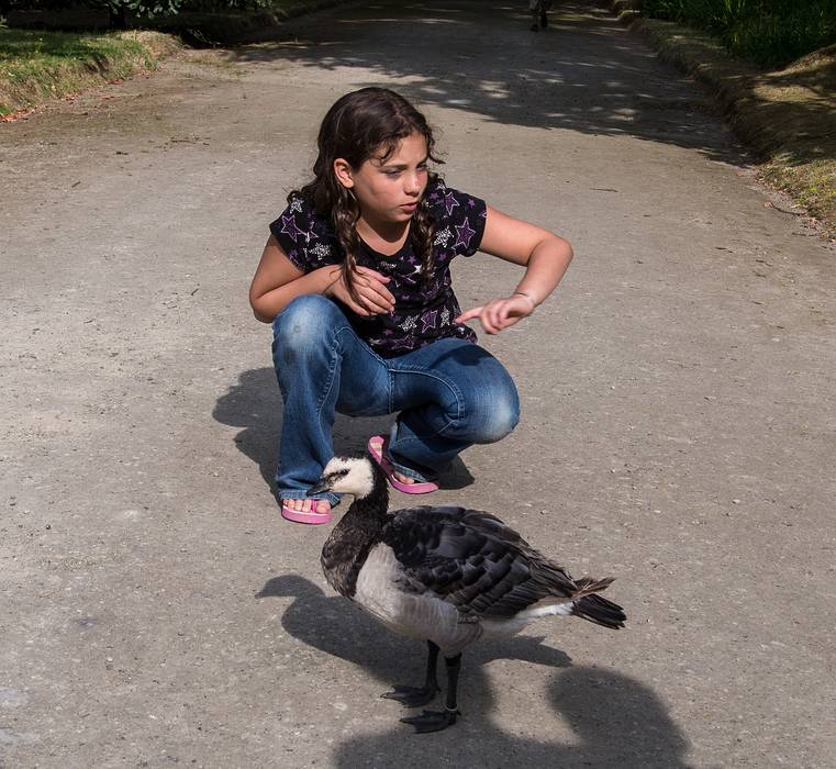 Miranda and a barnacle goose.<br />July 11, 2013 - At the Terra Nostra Gardens in Furnas, Sao Miguel, Azores, Portugal.