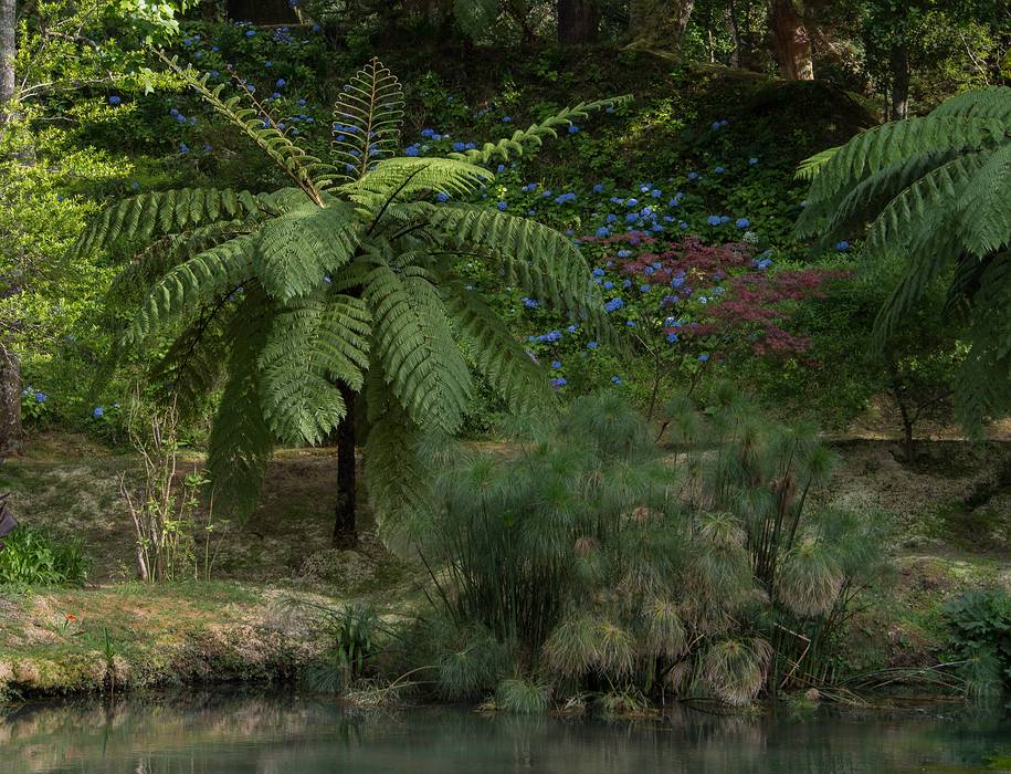 July 11, 2013 - At the Terra Nostra Gardens in Furnas, Sao Miguel, Azores, Portugal.