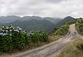 July 13, 2013 - Hike along rim of crater at Sete Cidades, Sao Miguel, Azores, Portugal.