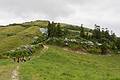 Sati, Miranda, Joyce, Melody, Baiba, and Sati heading for a lunch spot SW of the crater.<br />July 13, 2013 - Hike along rim of crater at Sete Cidades, Sao Miguel, Azores, Portugal.