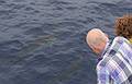 Dolphins just below the surface.<br />July 15, 2013 - On whale watch boat out of Ponta Delgada, Sao Miguel, Azores, Portugal.