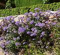Generalife.<br />July 4, 2013 - At the Alhambra in Granada, Spain.