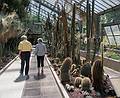 Salvador and Joyce in one of the greenhouses.<br />July 7, 2013 - At the Real Jardin Botanico, Madrid, Spain.