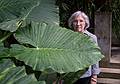 Big leaf and Joyce.<br />July 7, 2013 - At the Real Jardin Botanico, Madrid, Spain.