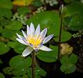 July 7, 2013 - At the Real Jardin Botanico, Madrid, Spain.