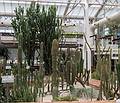 July 8, 2013 - In the Arganzuela Greenhouse at Madrid Rio Park, Madrid, Spain.