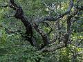 August 23, 2013 - Parker River National Wildlife Refuge, Plum Island, Massachusetts.