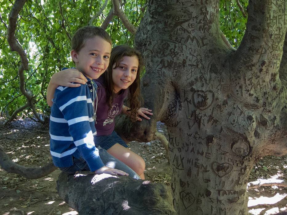 Matthew and Miranda.<br />August 24, 2013 - DeCordova Museum, Lincoln, Massachusetts.