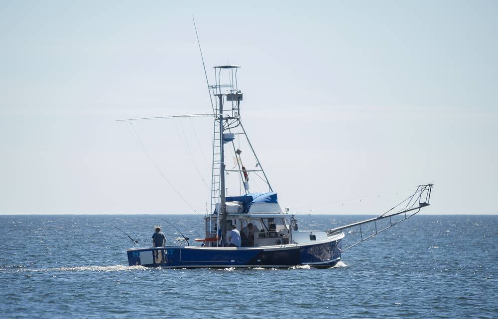 Sept. 4, 2013 - Parker River National Wildlife Refuge, Plum Island, Massachusetts.