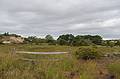 Cranberry bog just north of parking lot # 2 boardwalk.<br />A photo shoot with the Photographic Society of the Parker River National Wildlife Refuge.<br />Sept. 14, 2013 - Parker River National Wildlife Refuge, Plum Island, Massachusetts.