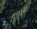 Sept. 20, 2013 - Maudslay State Park, Newburyport, Massachusetts.