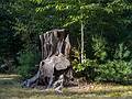 Sept. 20, 2013 - Maudslay State Park, Newburyport, Massachusetts.