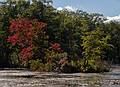 The Artichocke River above Curzon's Mill.<br />Sep. 26, 2013 - Maudslay State Park, Newburyport, Massachusetts.