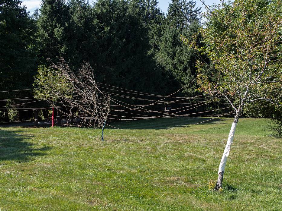 Allison Davis, Anne Mulvay, Rose Russo, Cmeron Sesto: Earth Roots.<br />Outdoor Sculpture at Maudslay.<br />Sept. 7-29, 2012 - Maudslay State Park, Newburyport, Massachusetts.