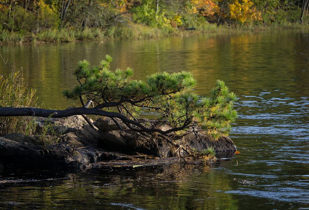 Mackenzies Marina across the Merrimack River.<br />Oct. 9, 2013 - Maudslay State Park, Newburyport, Massachusetts.