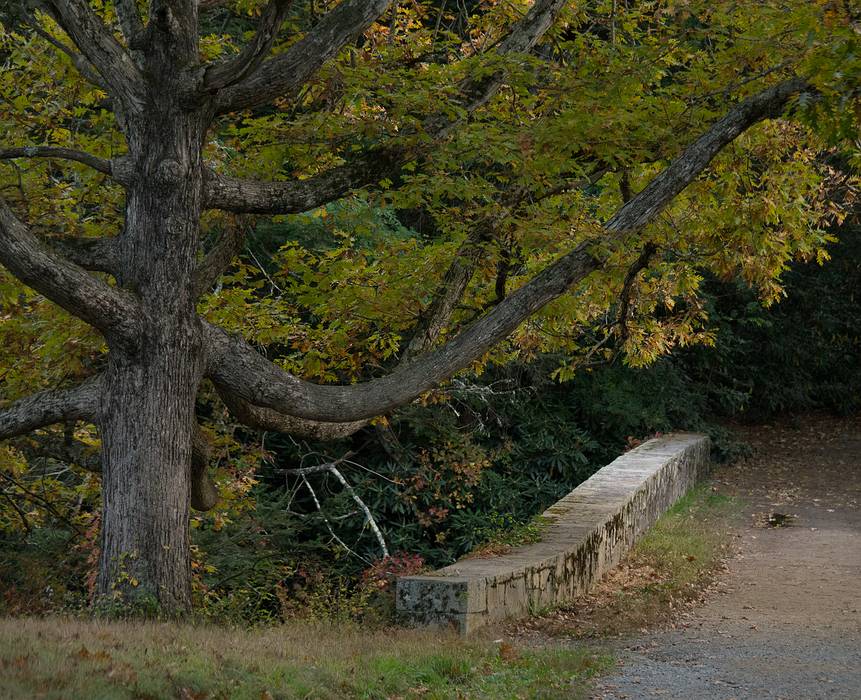 Oct. 9, 2013 - Maudslay State Park, Newburyport, Massachusetts.