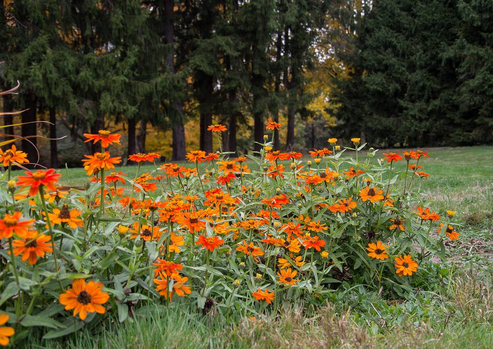 Oct. 16, 2013 - Maudslay State Park, Newburyport, Massachusetts.