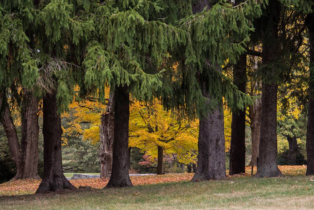 Oct. 16, 2013 - Maudslay State Park, Newburyport, Massachusetts.