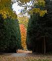 Oct. 16, 2013 - Maudslay State Park, Newburyport, Massachusetts.