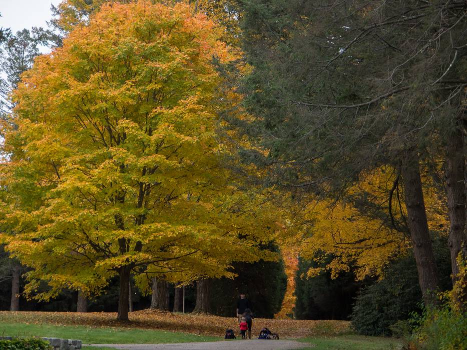 Oct. 16, 2013 - Maudslay State Park, Newburyport, Massachusetts.