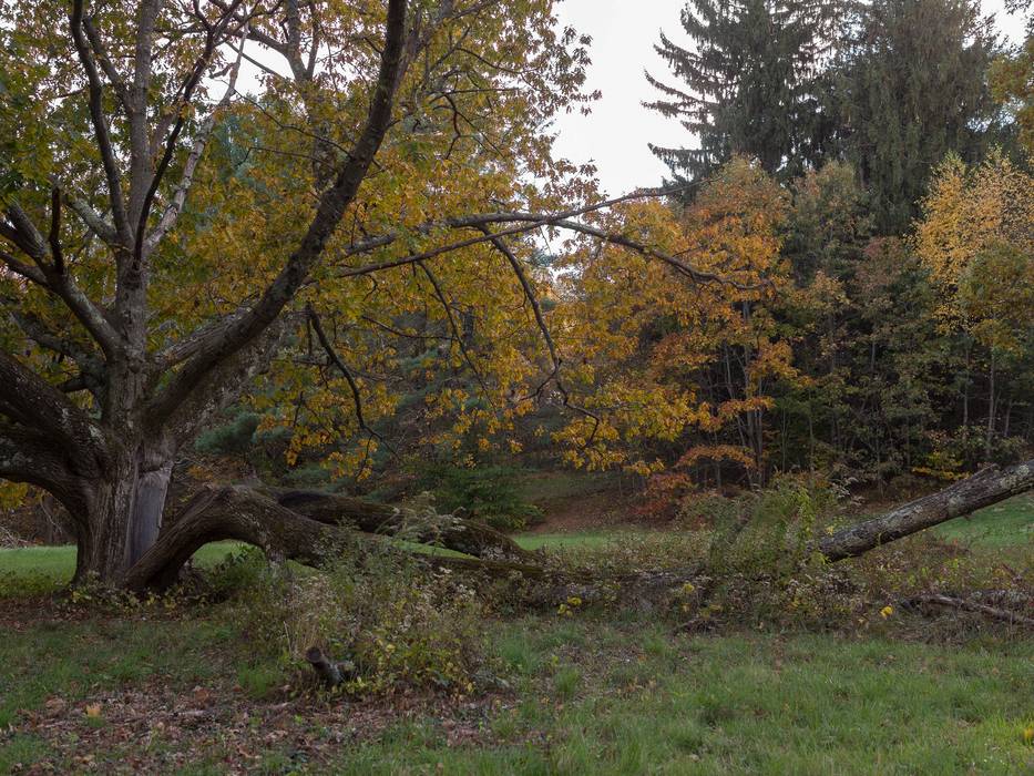 Oct. 20, 2013 - Maudslay State Park, Newburyport, Massachusetts.