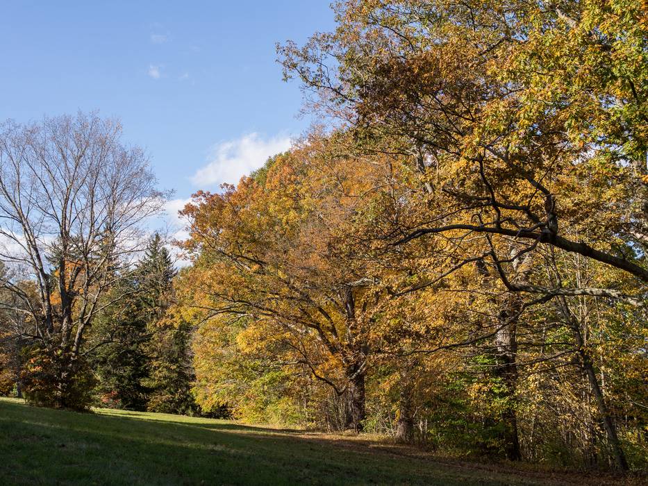 Oct. 20, 2013 - Maudslay State Park, Newburyport, Massachusetts.