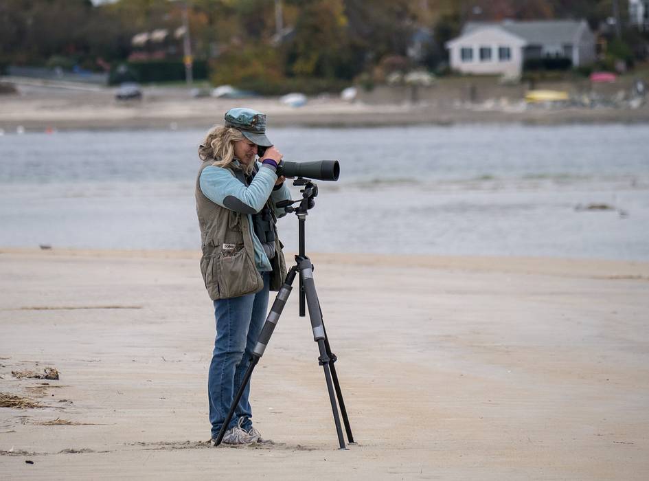 A birder.<br />Oct. 23, 2013 - Sandy Point State Reservation, Plum Island, Massachusetts.