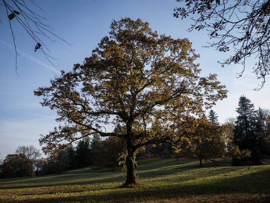 Oct. 30, 2013 - Maudslay State Park, Newburyport, Massachusetts.