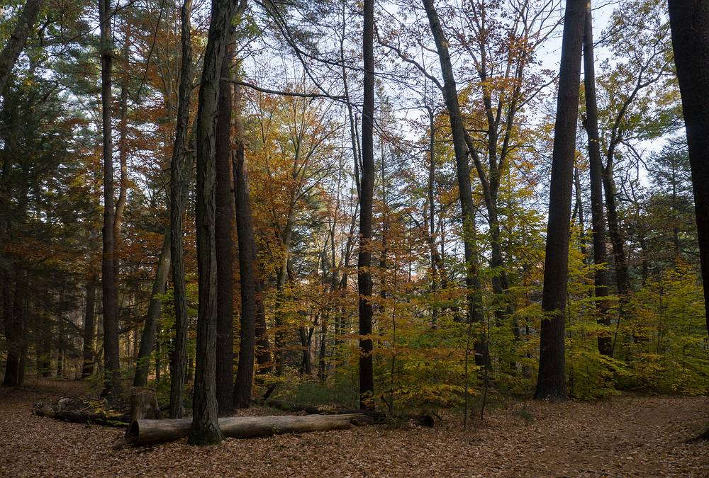 Oct. 30, 2013 - Maudslay State Park, Newburyport, Massachusetts.