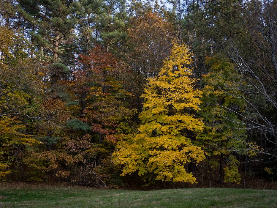 Oct. 30, 2013 - Maudslay State Park, Newburyport, Massachusetts.
