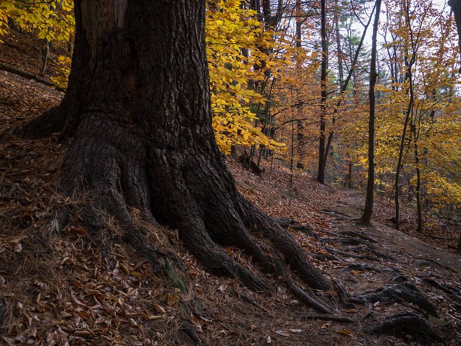 Oct. 30, 2013 - Maudslay State Park, Newburyport, Massachusetts.