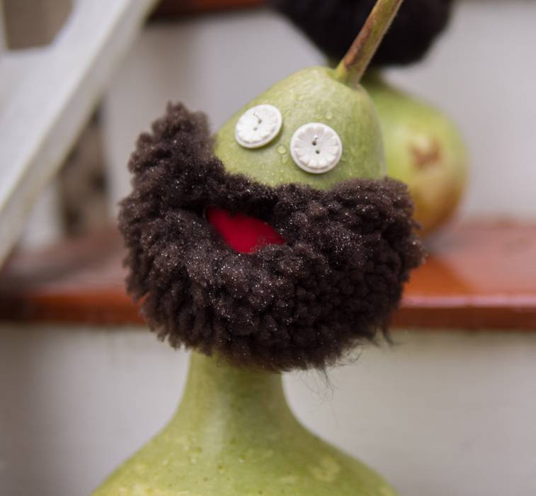 Paul's gourds, flainting Red Sox beards.<br />Oct. 31, 2013 - Halloween, Merrimac, Massachusetts.
