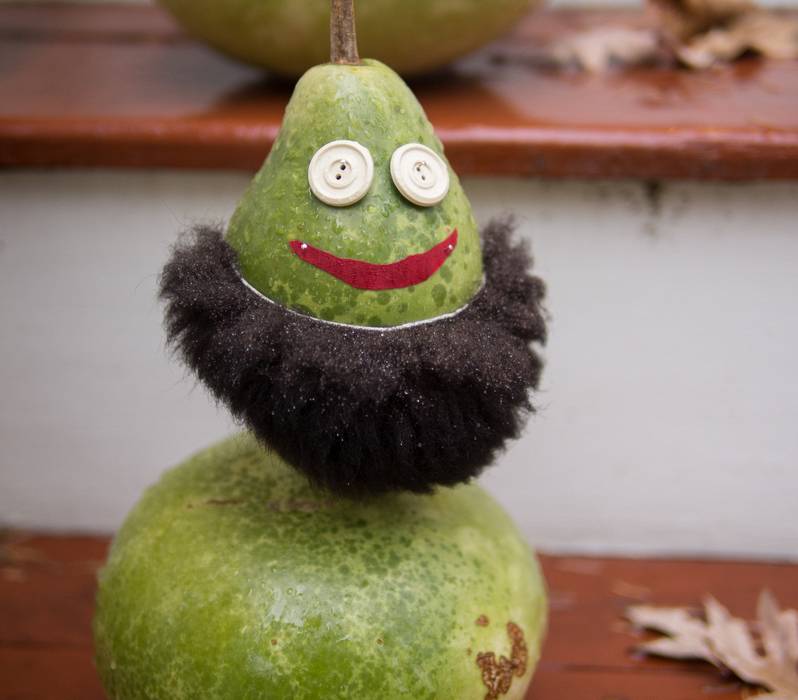 Paul's gourds, flainting Red Sox beards.<br />Oct. 31, 2013 - Halloween, Merrimac, Massachusetts.