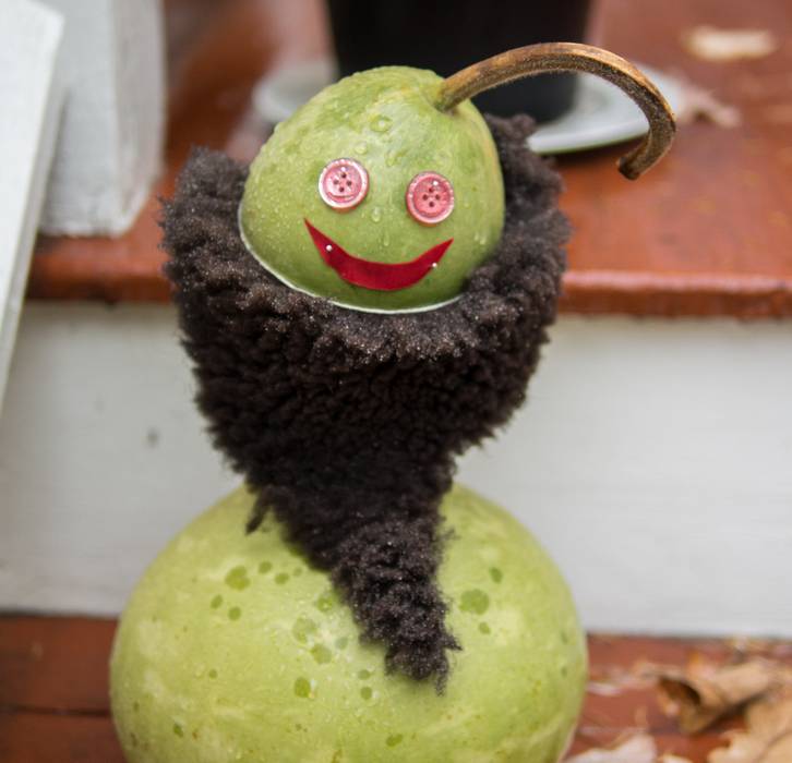 Paul's gourds, flainting Red Sox beards.<br />Oct. 31, 2013 - Halloween, Merrimac, Massachusetts.