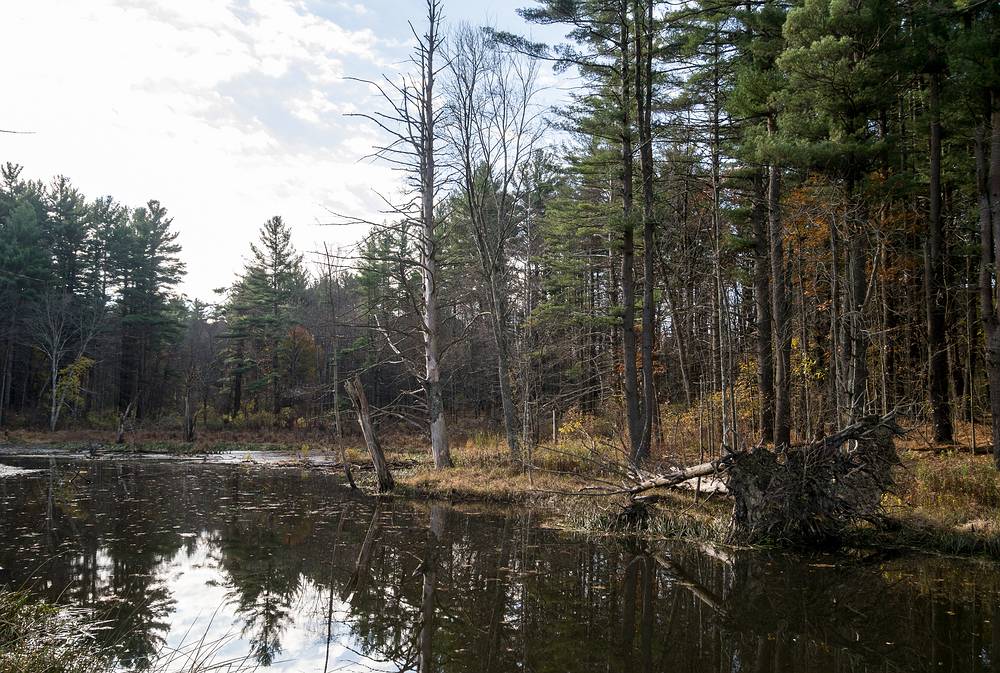 Mill Pond & Pipestave Hill Recreation Area.<br />Nov. 2, 2013 - West Newbury, Massachusetts.