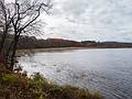 Nov. 3, 2013 - Riverbend Conservation Area, West Newbury, Massachusetts.