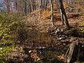 Nov. 4, 2013 - Riverbend Conservation Area, West Newbury, Massachusetts.