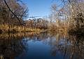 Nov. 4, 2013 - Riverbend Conservation Area, West Newbury, Massachusetts.