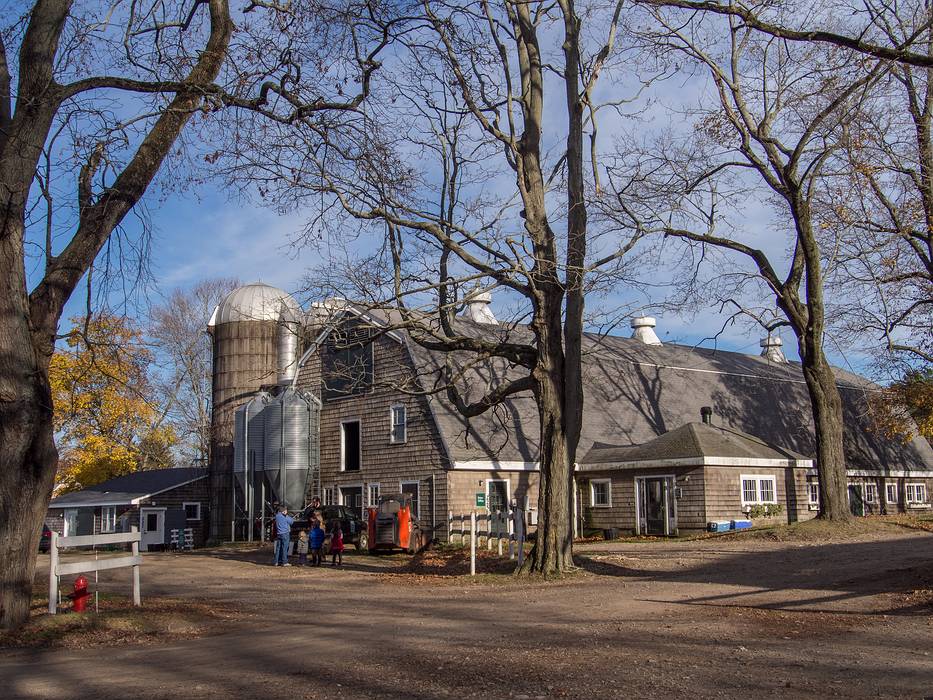 Nov. 11, 2013 - Appleton Farms, Ipswich, Massachusetts.