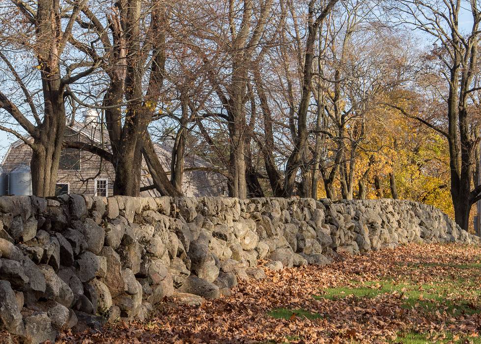 Nov. 11, 2013 - Appleton Farms, Ipswich, Massachusetts.