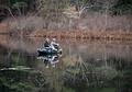 Fishing on Foster's Pond.<br />Nov. 17 - Goldsmith Reservation, Andover, Massachusetts.