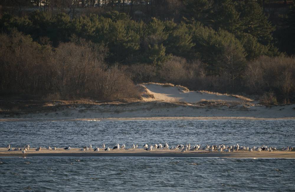 Dec. 7, 2013 - Sandy Point State Reservation, Plum Island, Massachusetts.
